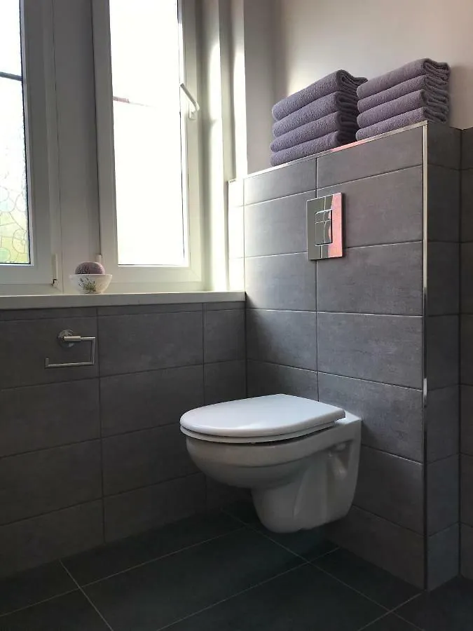 Apartman Havlickova Karlovy Vary Apartment